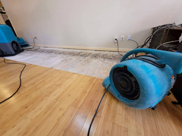 Reliable Basement Flood Cleanup contractor in Mount Holly, NJ by Hirex Water Damage