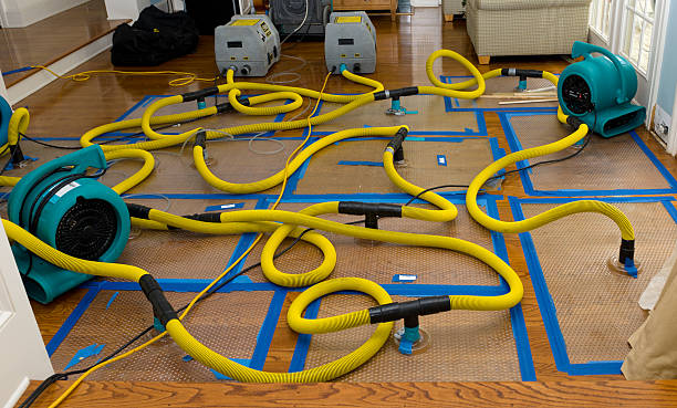 Professional Basement Flood Cleanup technician working in Mount Holly, NJ